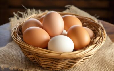 Benefits of Eating Eggs